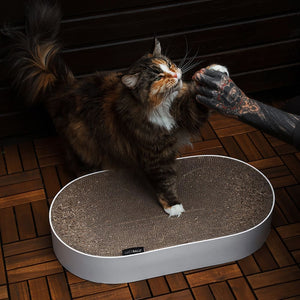 SCRATCHBED - Panier en carton