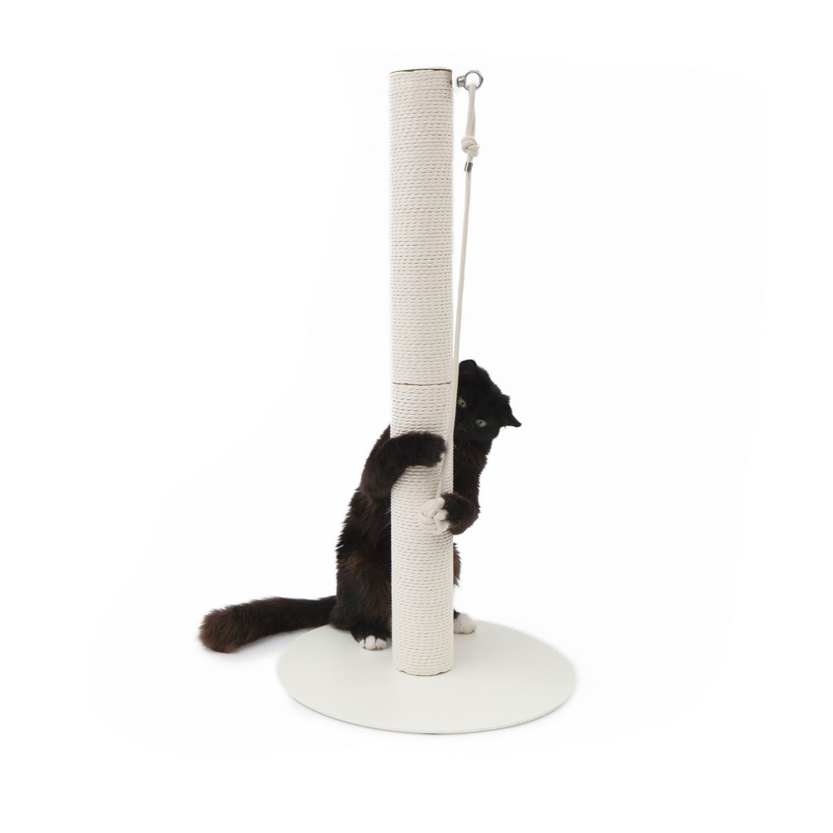 PAPERPOLE free-standing scratching post