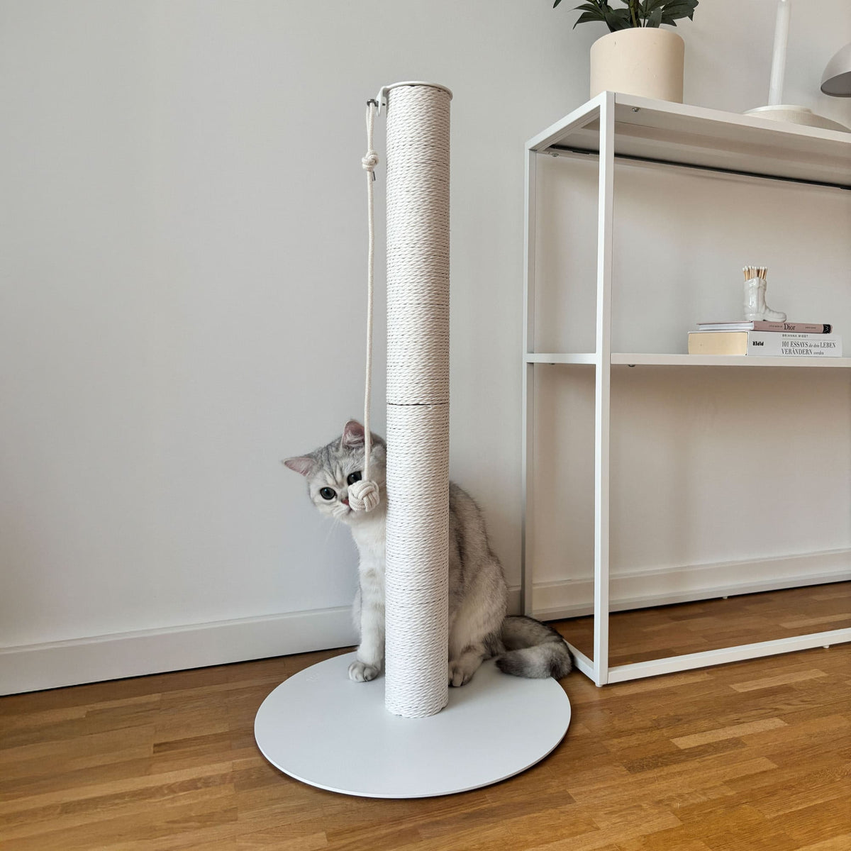 PAPERPOLE free-standing scratching post