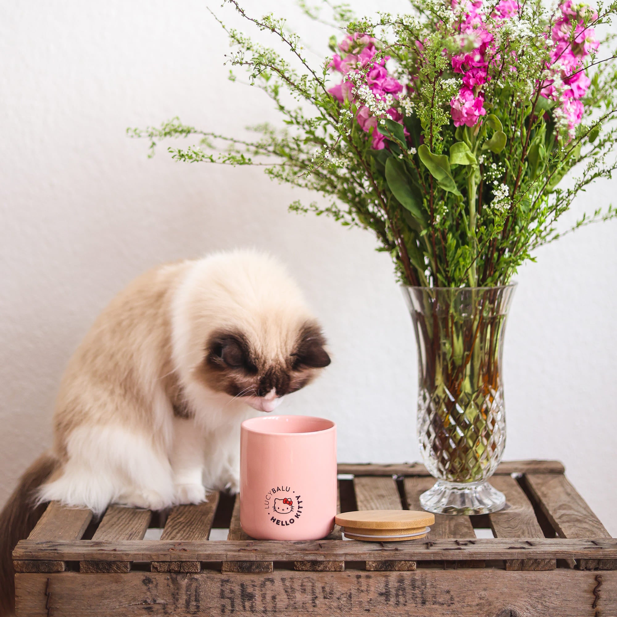 LucyBalu® Porcelain Treat Jar