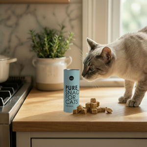 Graue Katze steht auf einer Küchenarbeitsplatte und riecht an gefriergetrockneten Katzenleckerlis aus einer Dose mit der Aufschrift „Pure Snack for Cats – 100 % Duck“.