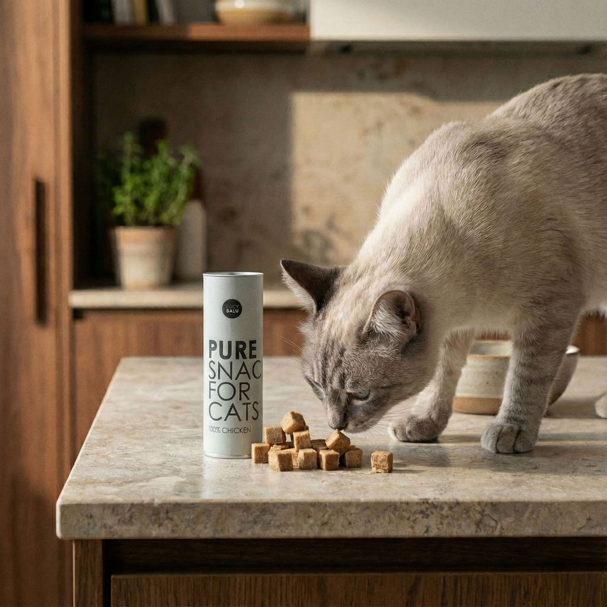 PURE Katzensnacks 3er Bundle