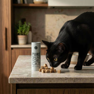 PURE Katzensnacks Huhn gefriergetrocknet