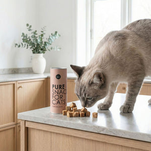 Graue Katze steht auf einer Küchenarbeitsplatte und riecht an gefriergetrockneten Katzenleckerlis aus einer Dose mit der Aufschrift „Pure Snack for Cats – 100 % Salmon“.