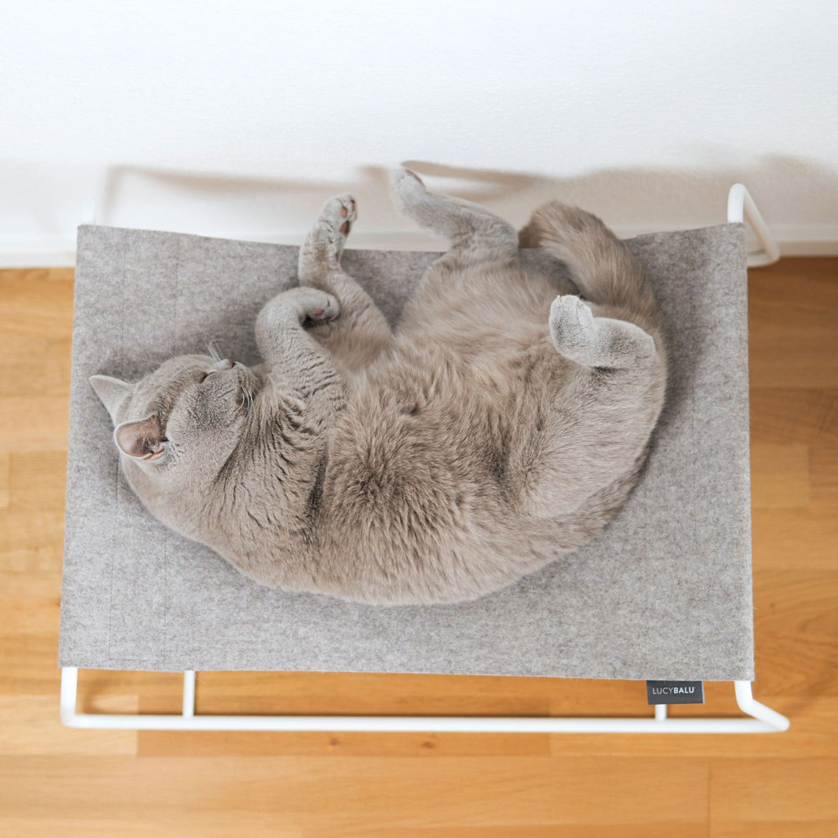 FLOAT cat hammock