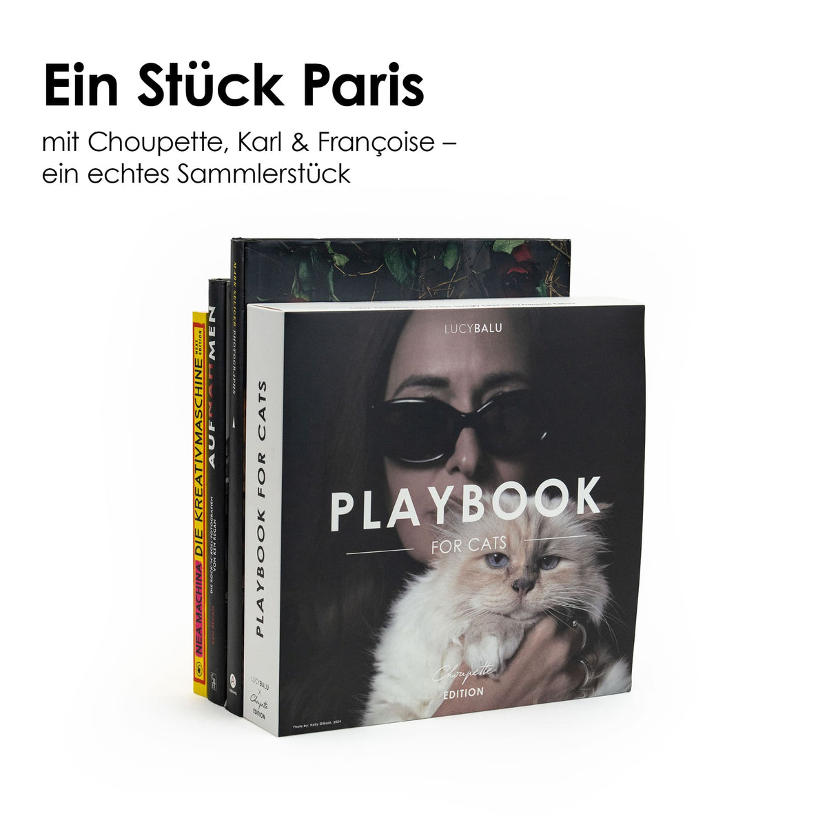 Das LucyBalu Playbook passt sich stilvoll ins Bücherregal ein – elegantes Spielzeug im Paris-Look.