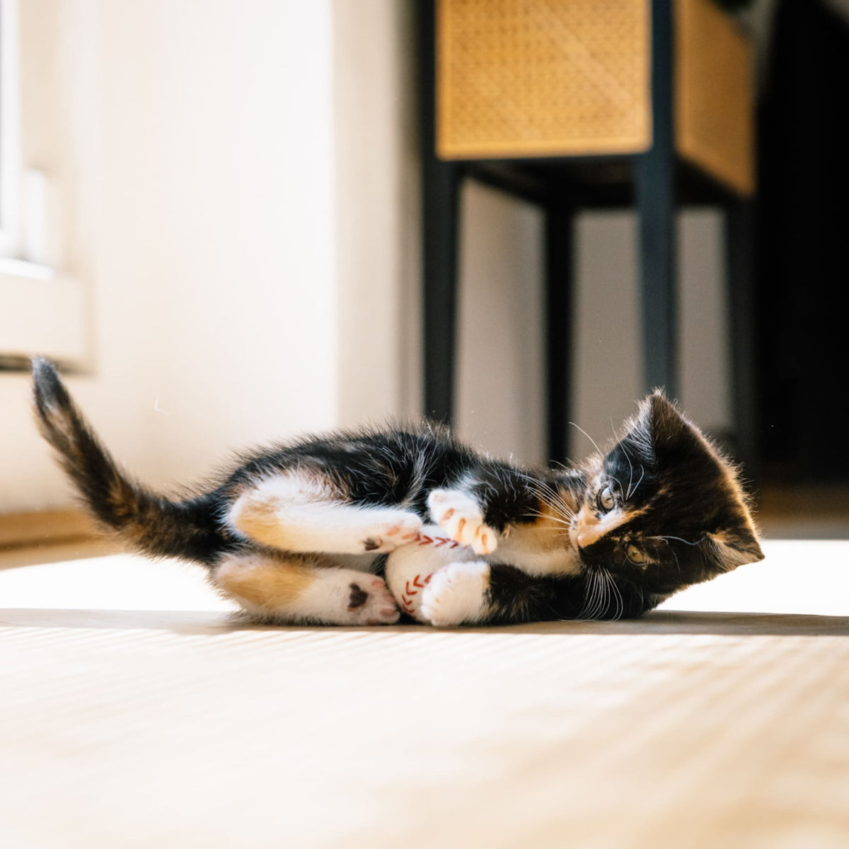 SUPER BALLS Katzenspielzeug