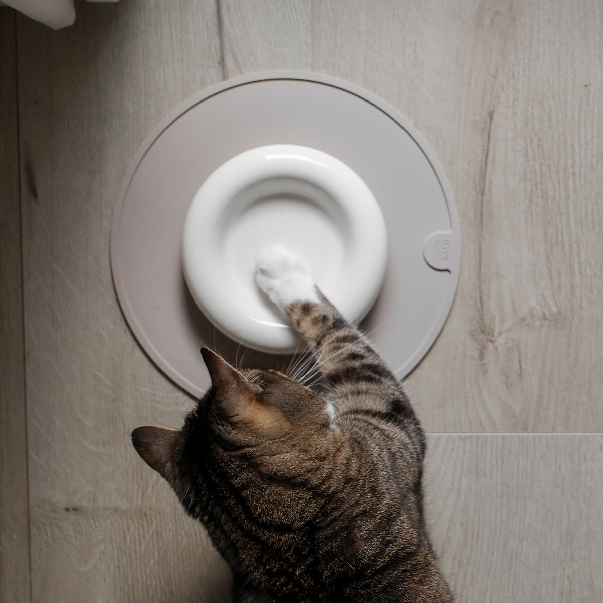 DROP Ciotola per gatti