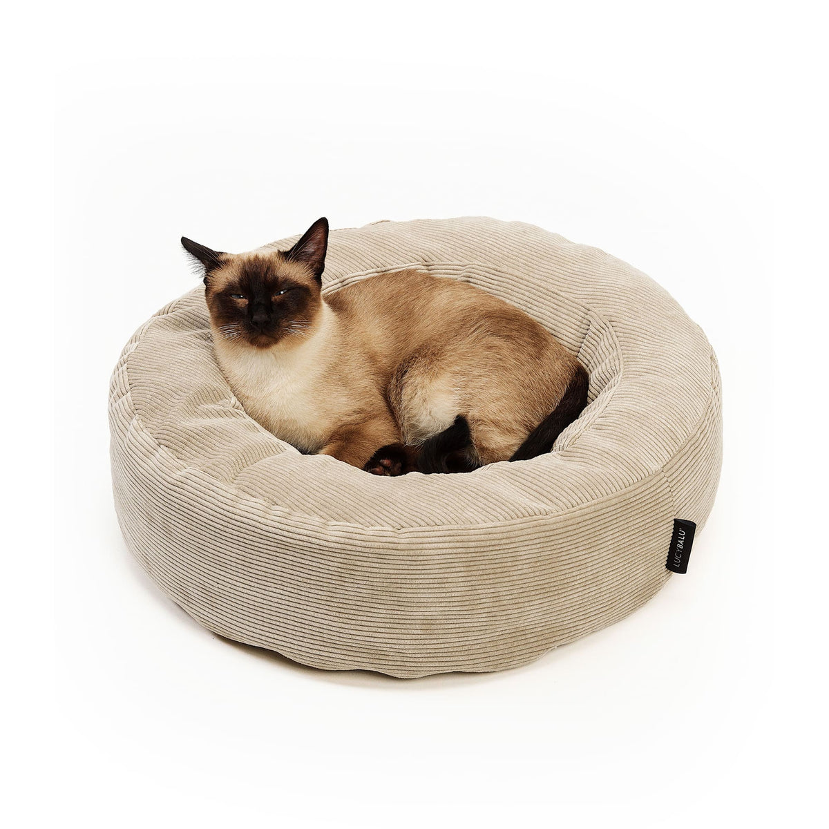 Siamkatze liegt ausgestreckt im gemütlichen LucyBalu Katzenbett aus beigem Cord.