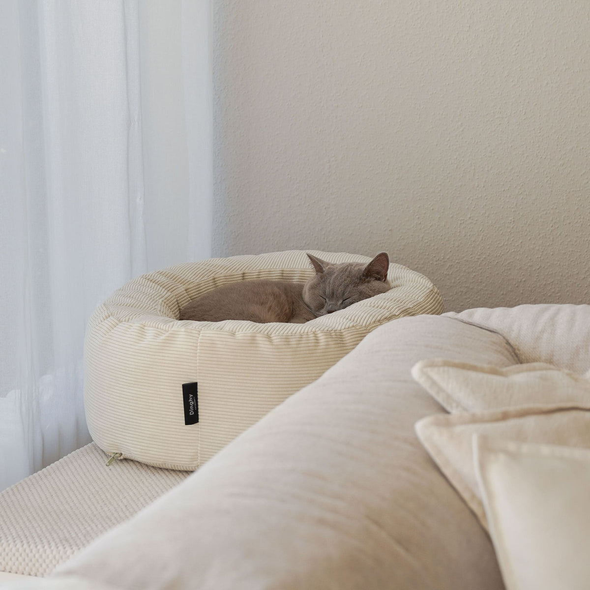 DINGHY Kattenbed