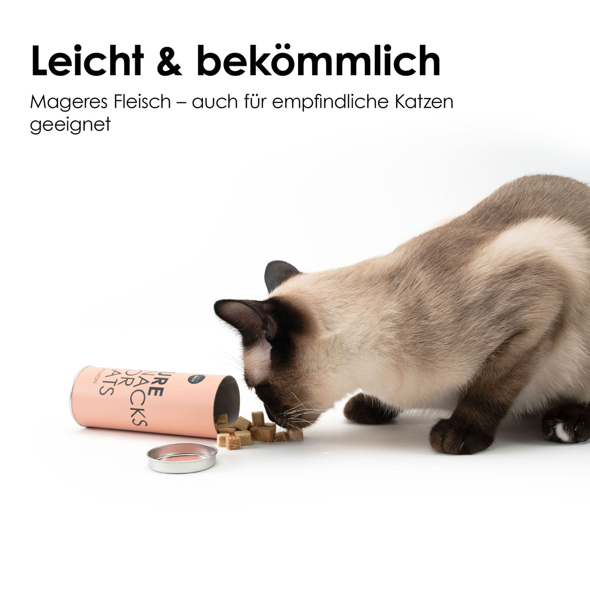 Siamkatze frisst kleine gefriergetrocknete Katzenhappen neben einer umgekippten Dose vor weißem Hintergrund, Text: „Leicht & bekömmlich“.