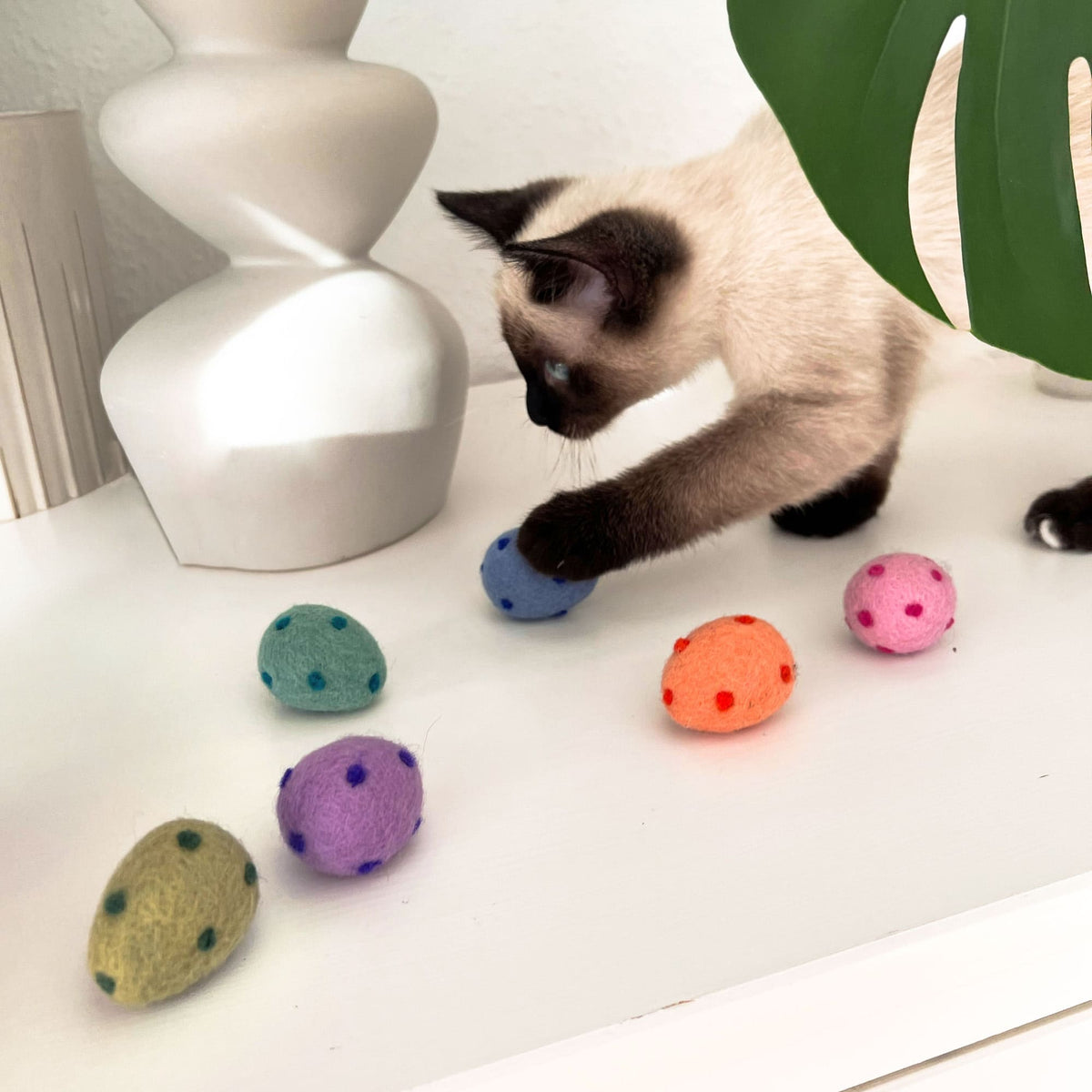 RAINBOW EGGS Cat toy