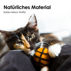 SUPER BALLS Katzenspielzeug