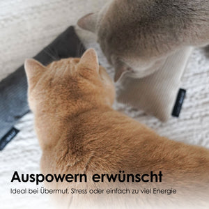 Orange und graue Katze stehen neben Cord Bunny Kick Kissen mit Katzenminze auf Teppich