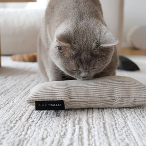 Graue Katze steht über beigem Cord Bunny Kick Kissen mit LucyBalu Label