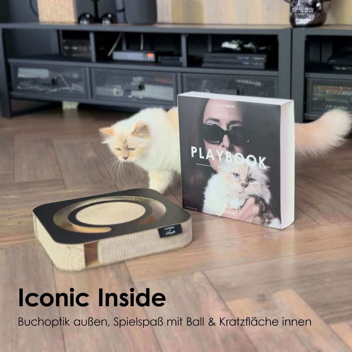 Interaktives Katzenspielzeug mit Buchcover-Optik – Spielspaß mit Kratzfläche & Ball für Designliebhaber.