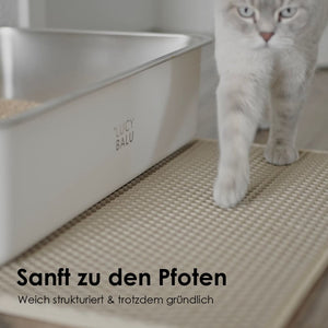 katze auf katzen streumatte mit text: "sanft zu den pfoten"