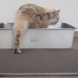 katze steigt von katzenstreumatte in katzenklo