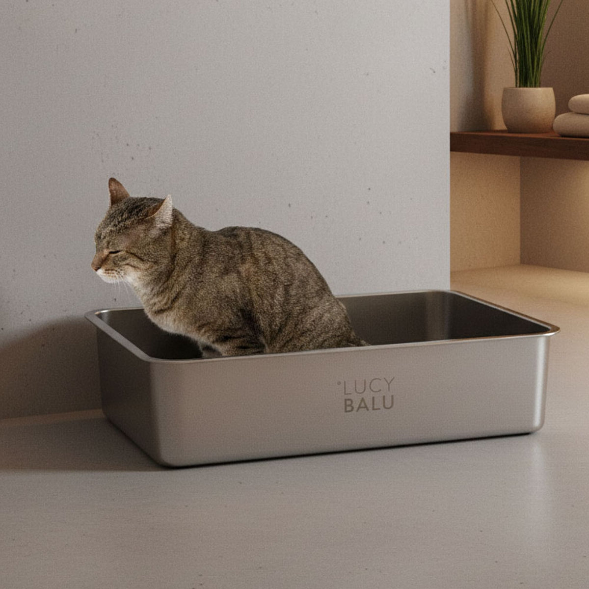 STEELOO minimalistic cat litter box