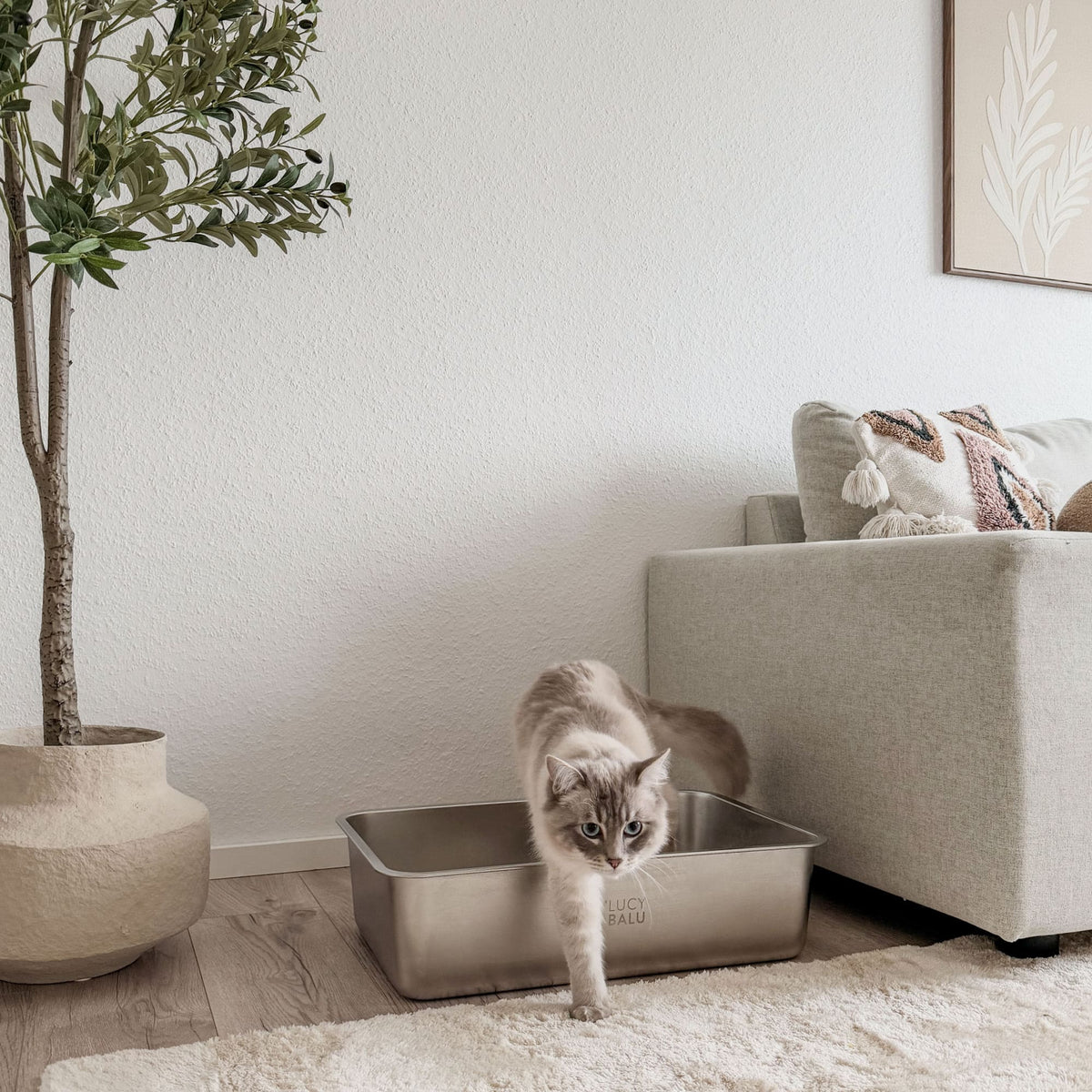 B-Stock: STEELOO minimalistic cat litter box