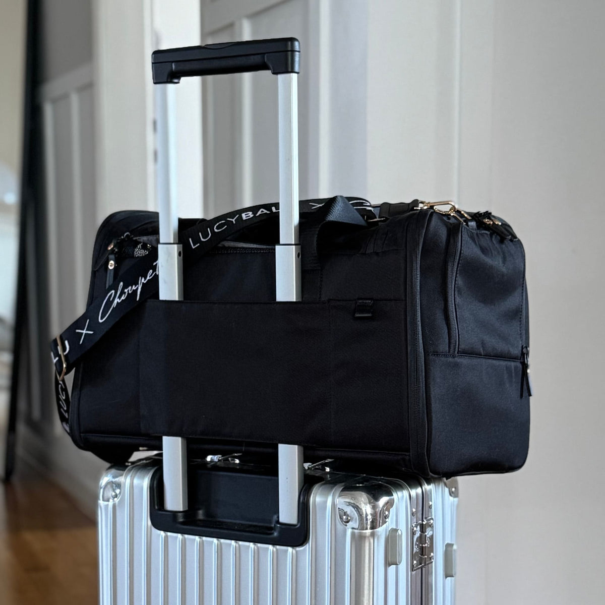 CHECK-IN Kattendraagtas | Choupette Editie