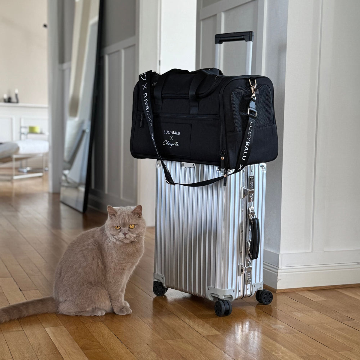 CHECK-IN Kattendraagtas | Choupette Editie