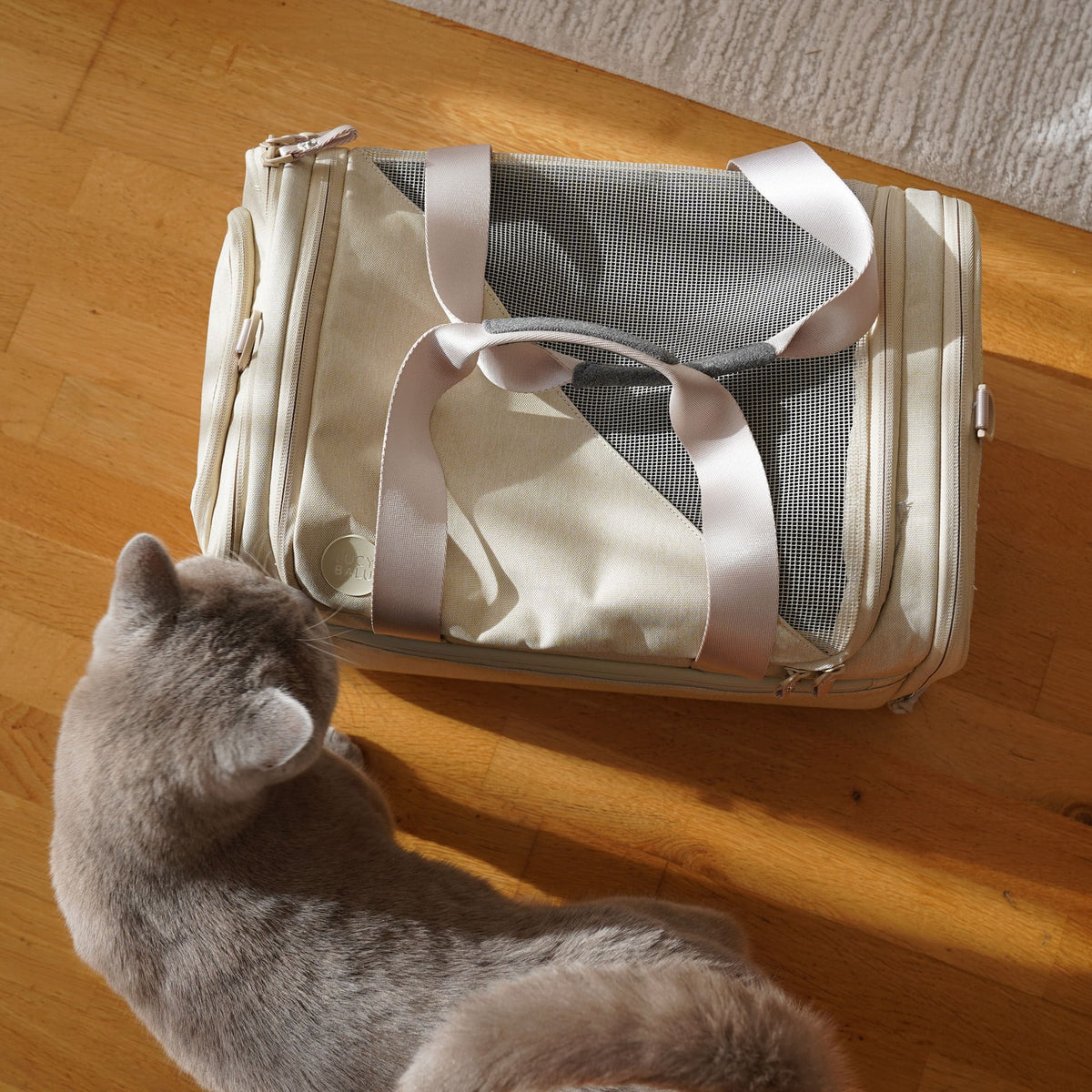 Borsa da trasporto per gatti, simpatica borsa a tracolla in tela Borsa da trasporto per gatti, simpatica borsa a tracolla in tela