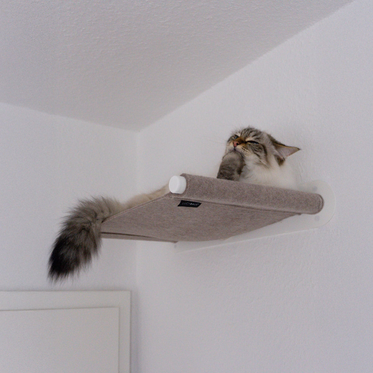 Cat hammock SWING