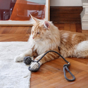 KNOT BALLS throw toy