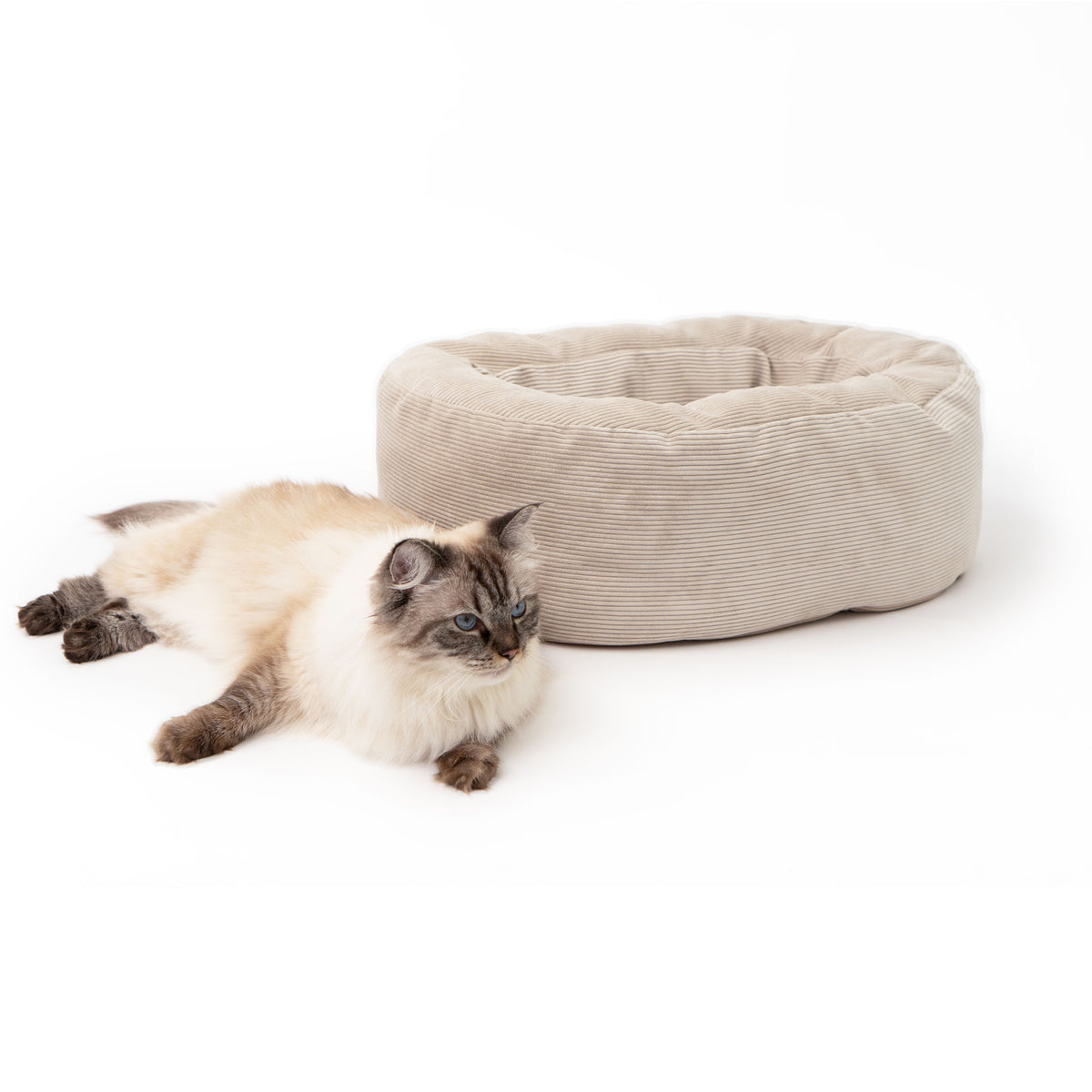 DINGHY Kattenbed