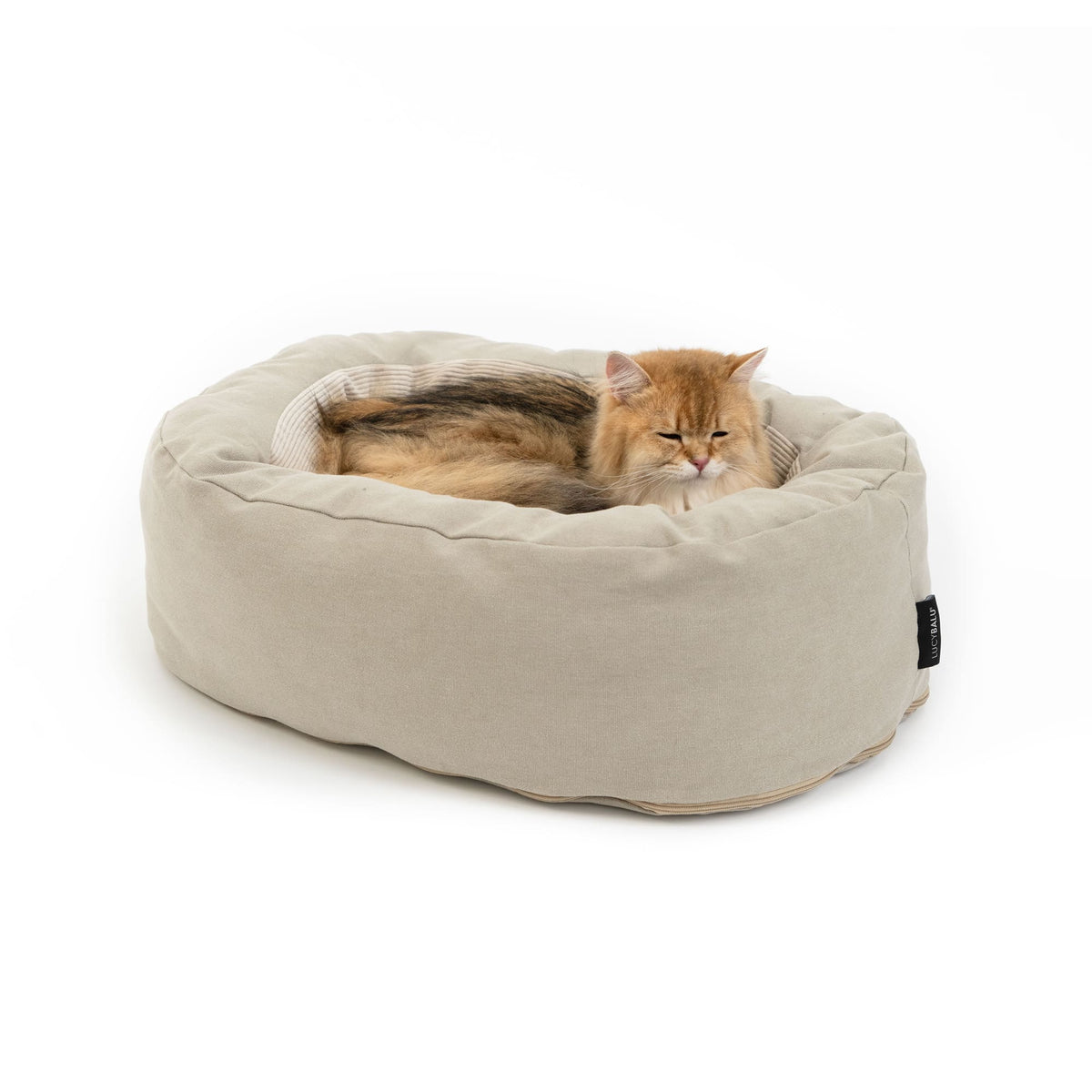 Cat bed &amp; toy set