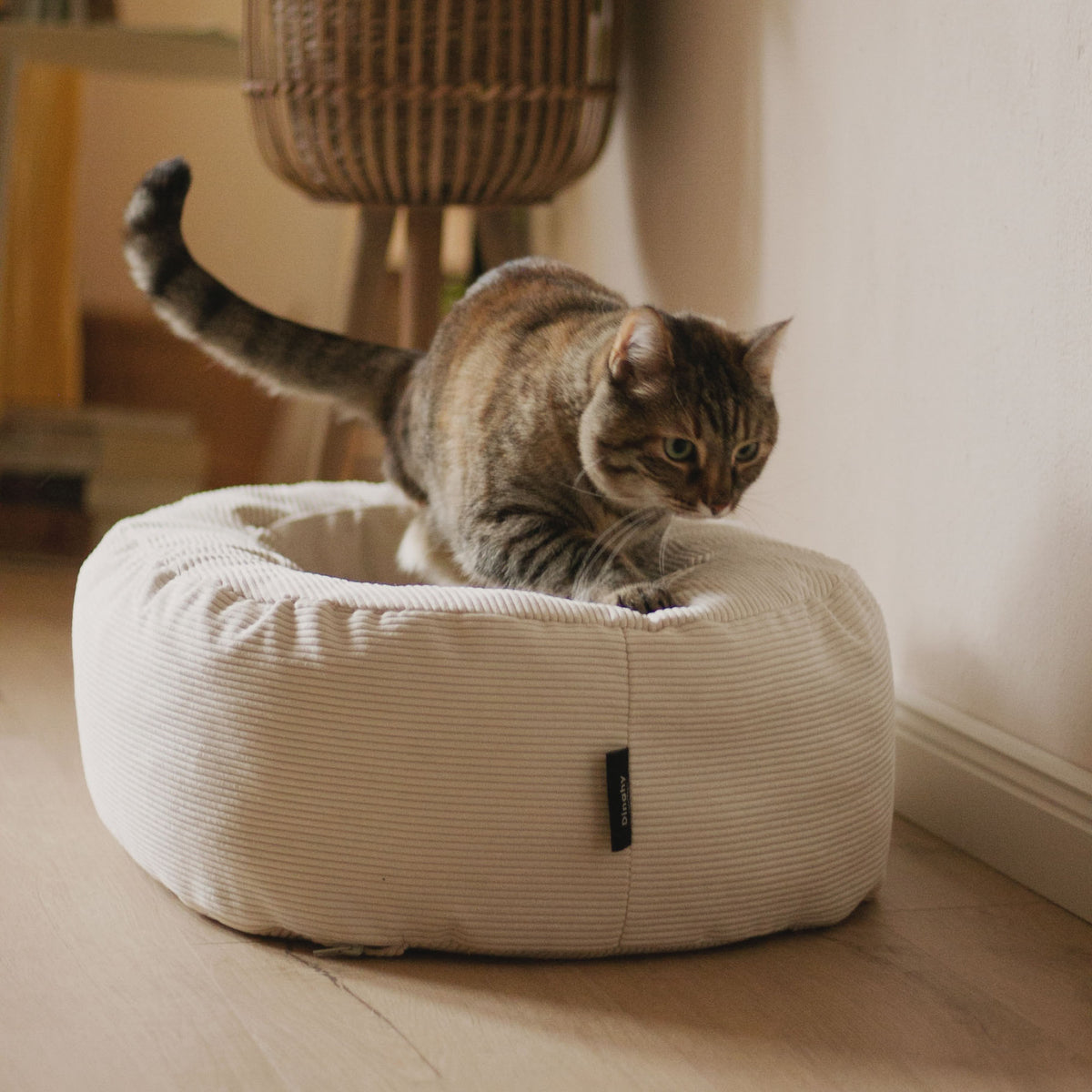 DINGHY Kattenbed