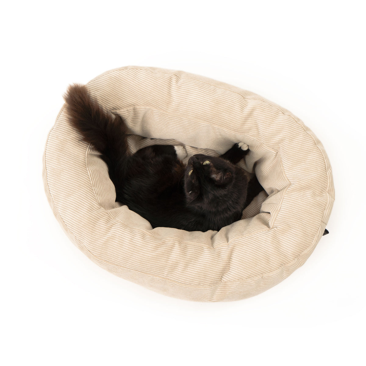 DINGHY Kattenbed