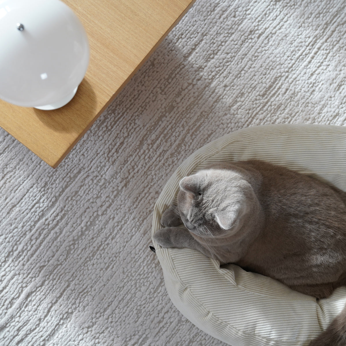 DINGHY cat bed