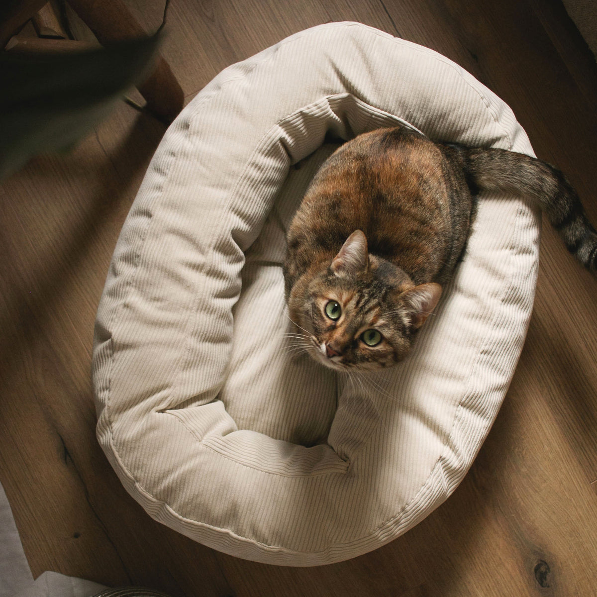 DINGHY Kattenbed