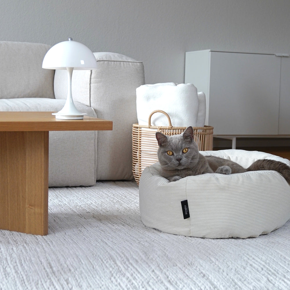 DINGHY kattenmand in crèmewit, grijze kat ligt ontspannen in de woonkamer