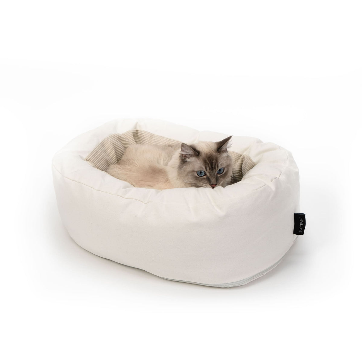 Cat bed &amp; toy set
