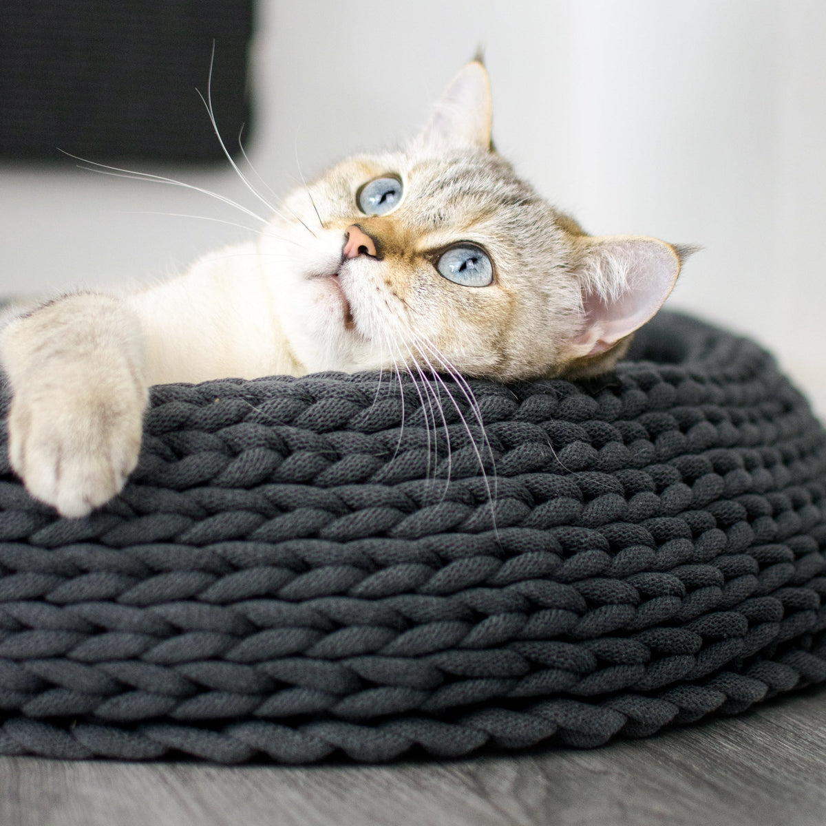 B-Stock: Basket cat bed