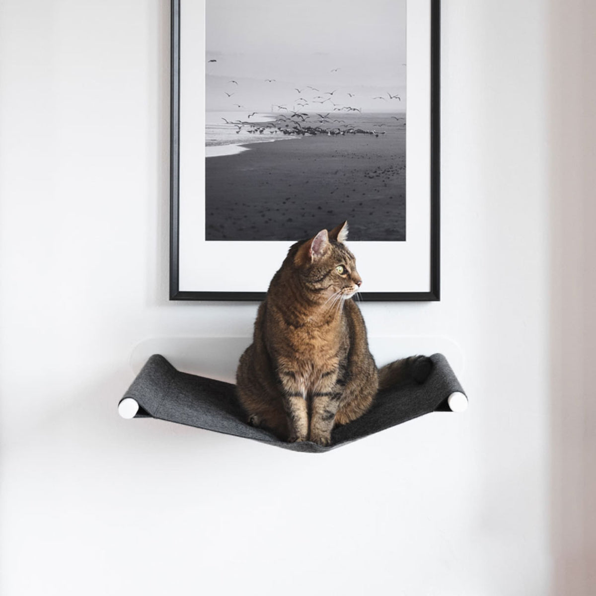 lucybalu hängematte Stylish cat hammock SWING by LucyBalu