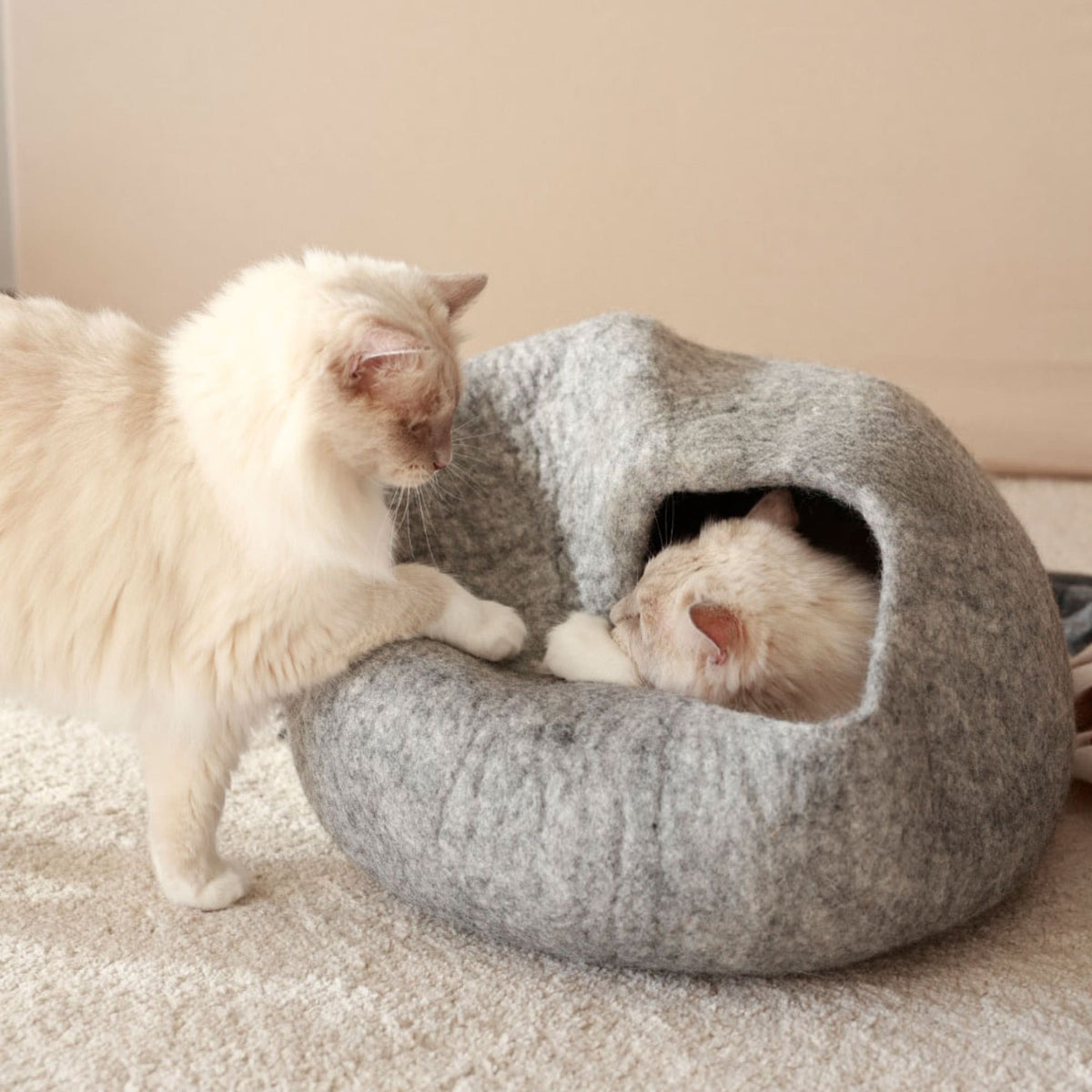 B-Stock: PEBBLE felt cave for cats