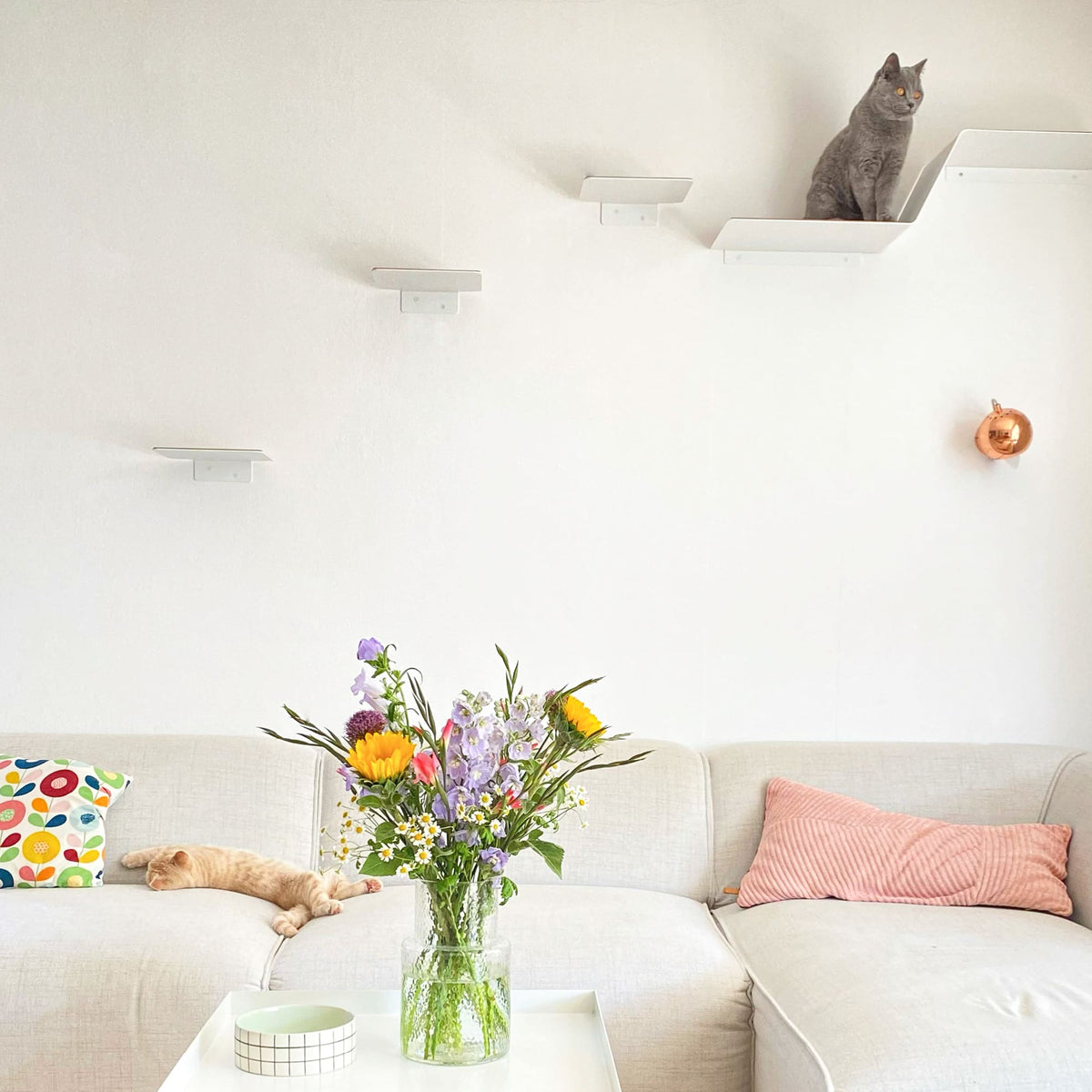 Katzen Kletter Wand mit Stufen
