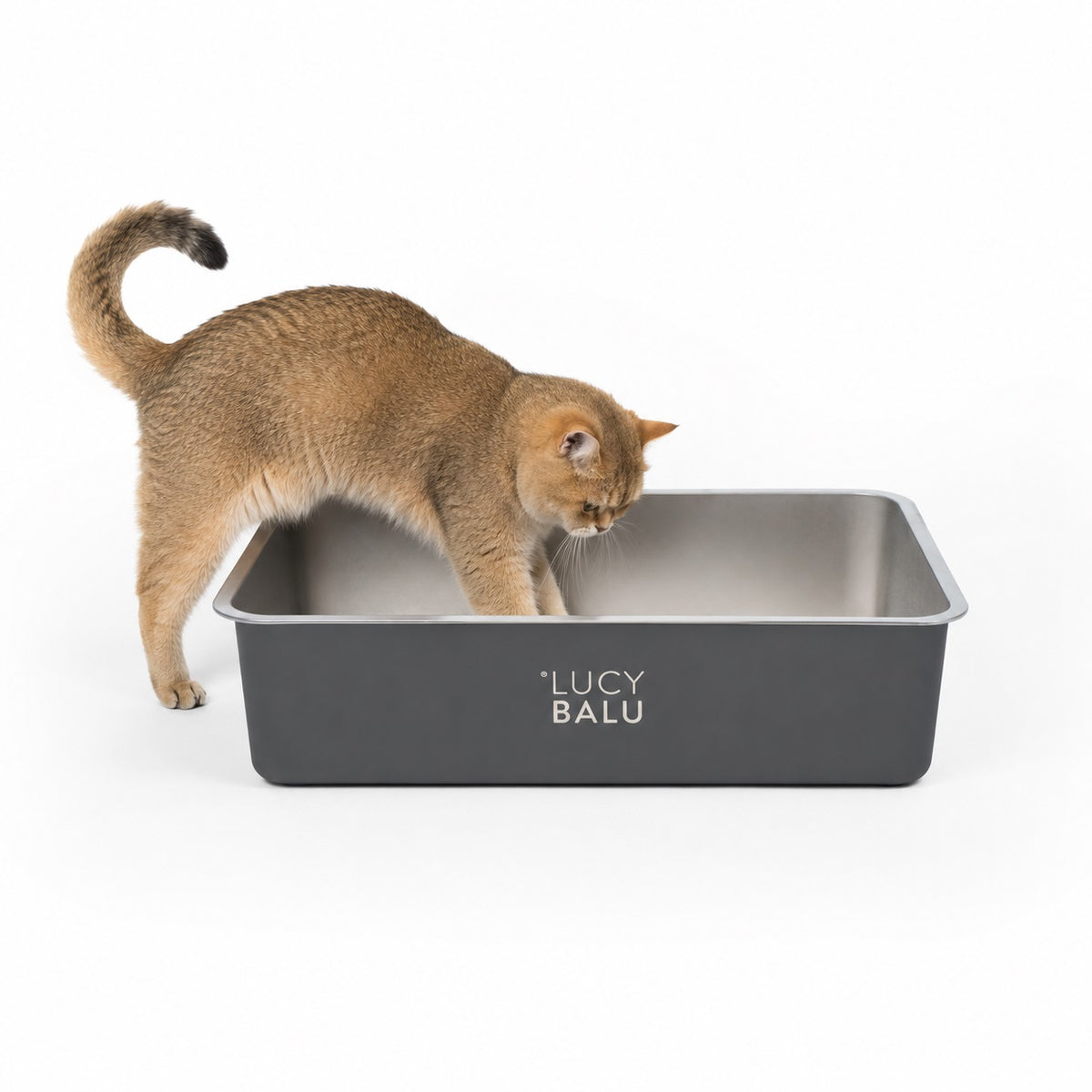STEELOO Katzentoilette