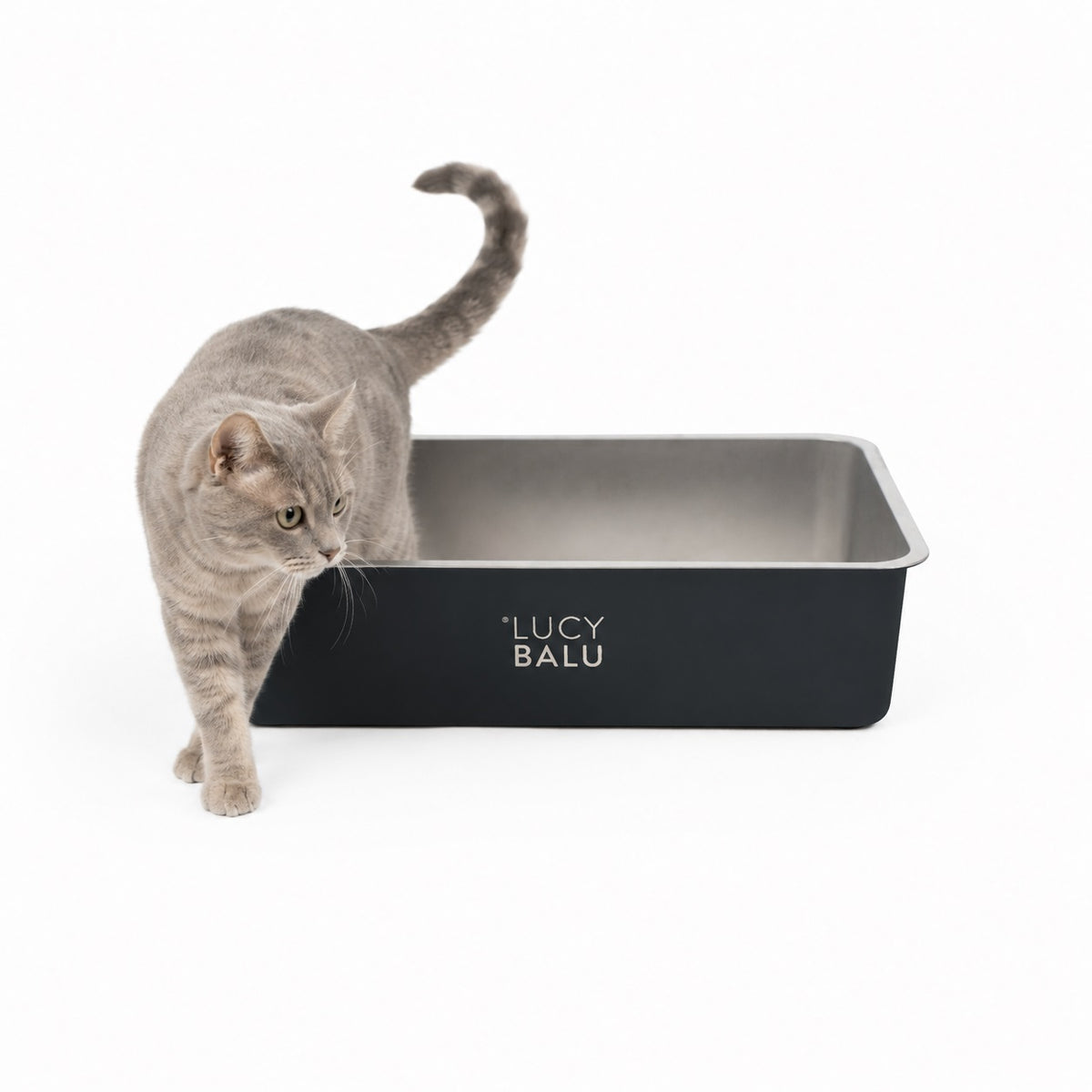 STEELOO Katzentoilette