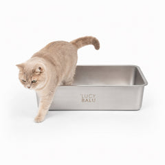 Kattenbakken