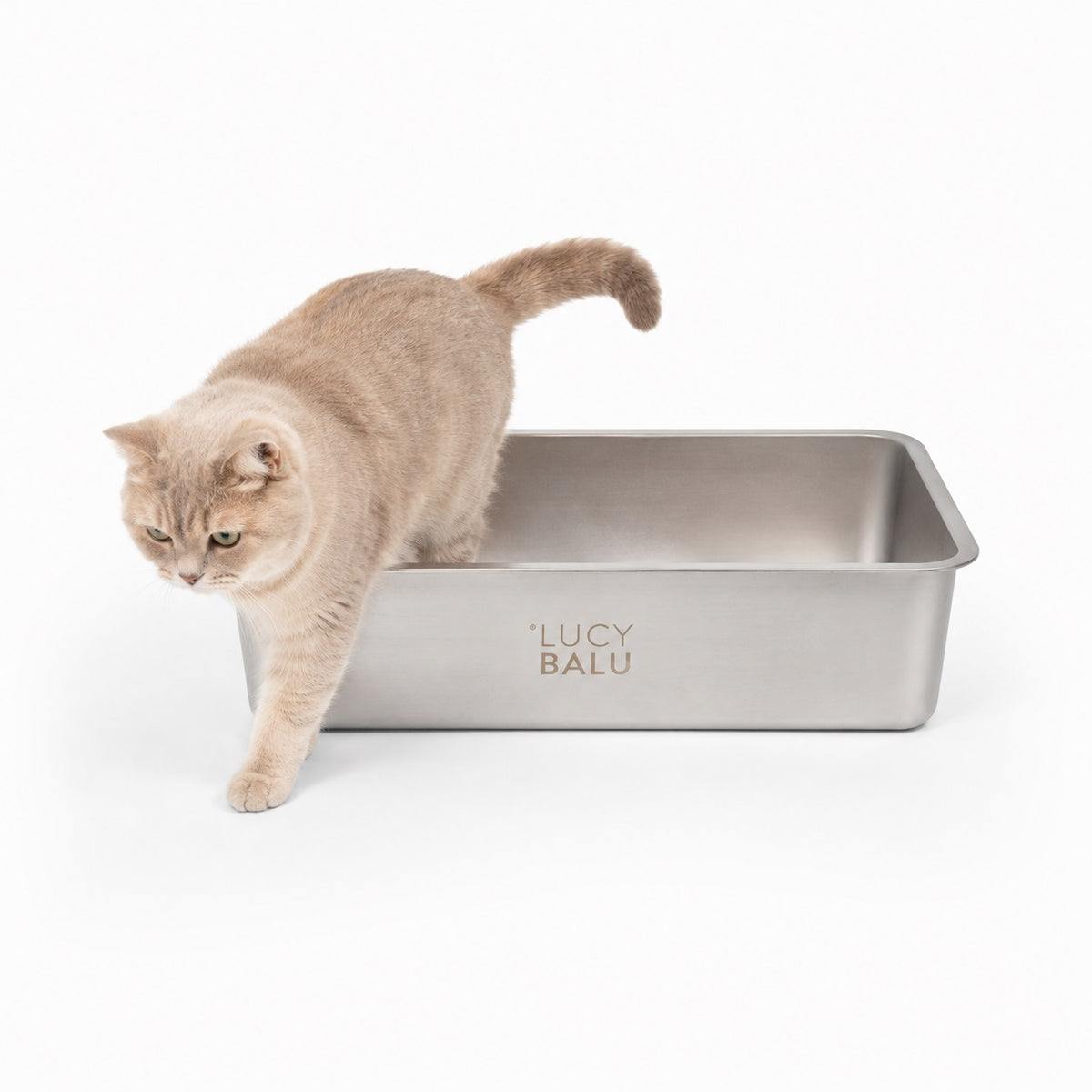 STEELOO Katzentoilette