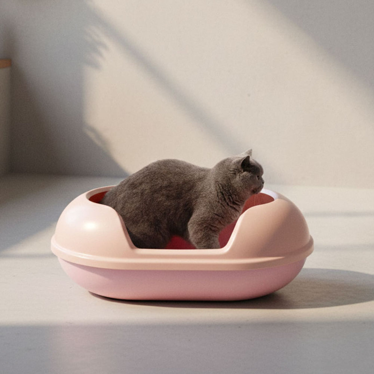 ARENA cat litter tray