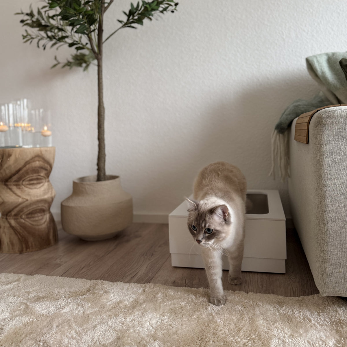 B-Ware: LOOLOO Katzentoilette