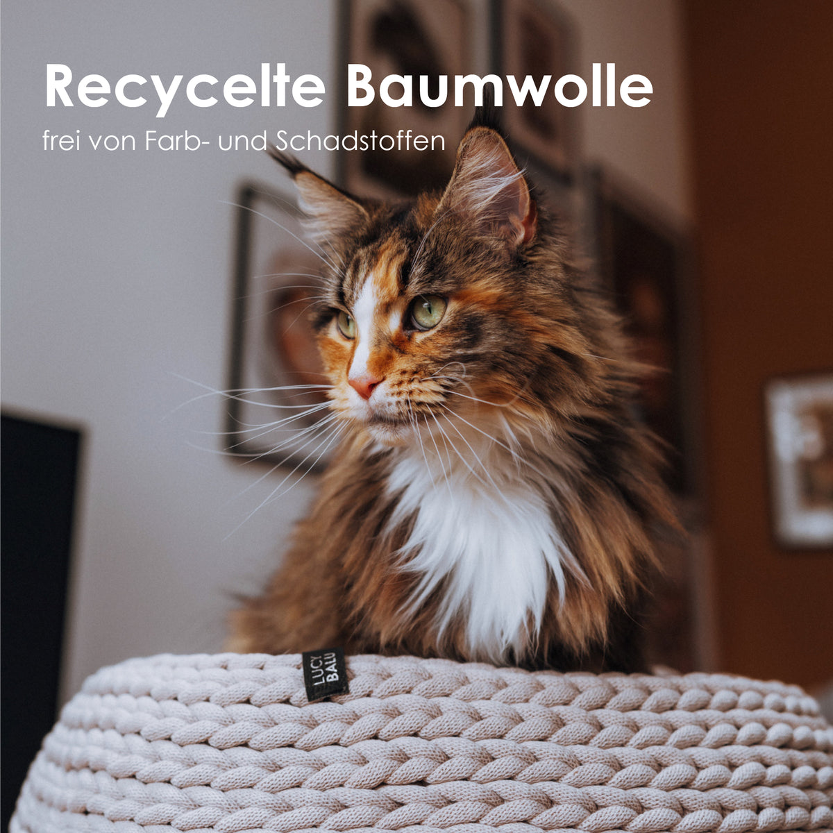 Katzenkorb aus recycelter Baumwolle