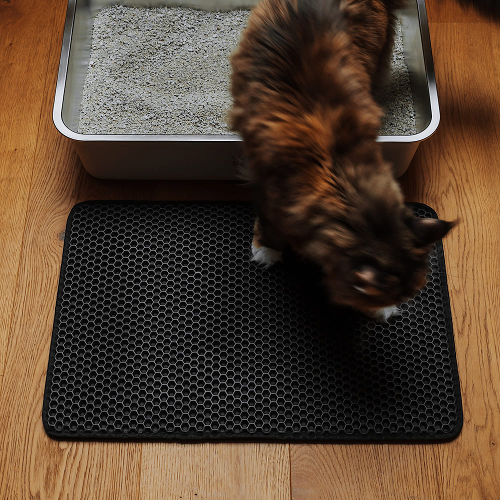 katze läuft über katzenstreu matte in anthrazit