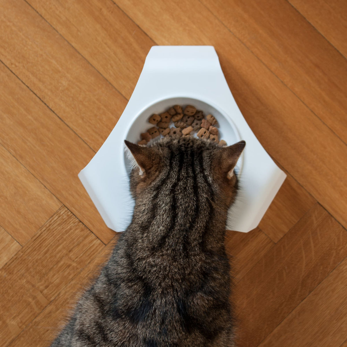 Cat food bowl & place mat set